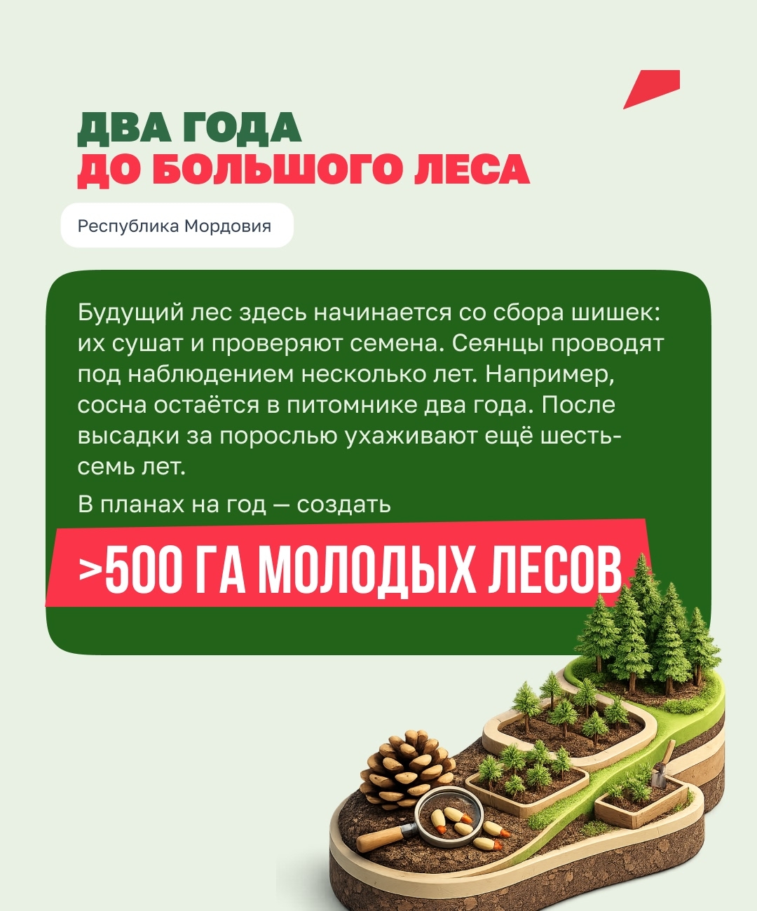 Реализация в Мордовии национальных проектов, предложенных Президентом России.  В Республике Мордовия активно идет подготовка к осеннему сезону лесовосстановления